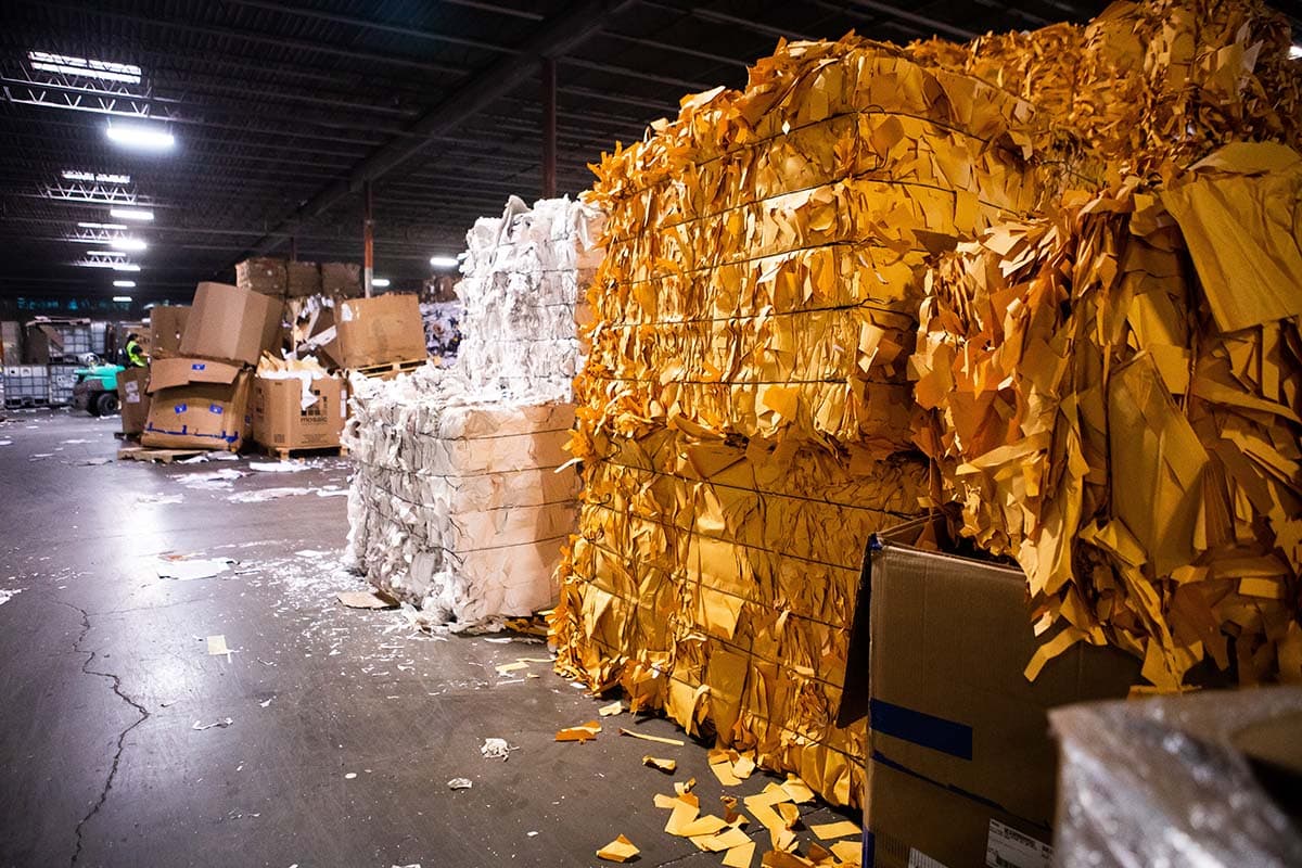 Bales of recovered paper inside a Royal Paper Stock facility