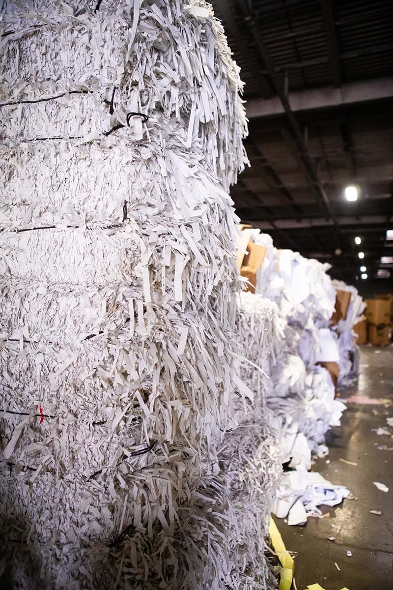 Paper recycling equipment at a Royal Paper Stock facility